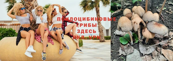 мяу мяу мука Алексеевка