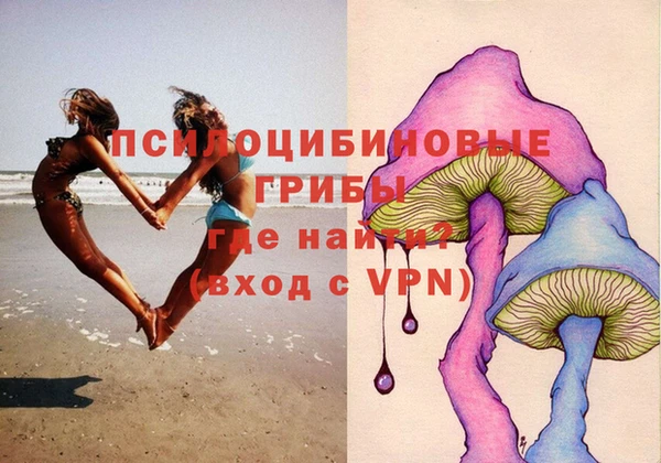 Альфа ПВП Алексин