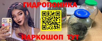 индика Конаково