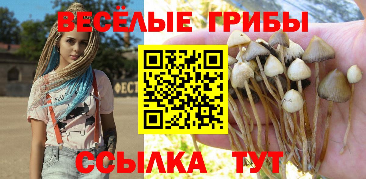 Псилоцибиновые грибы GOLDEN TEACHER  Вход с VPN  Галлюциногенные грибы мухоморы  Петрозаводск 